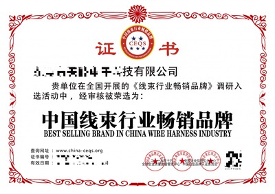 中国高新技术产品荣誉证书