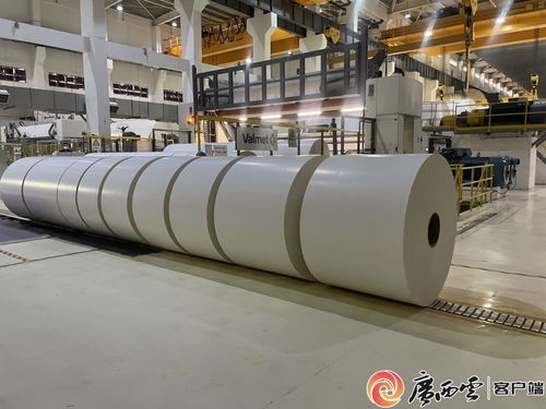 钦州港片区19家企业获国家级认定 央广网