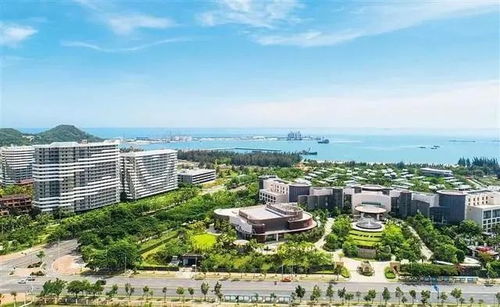 近期经济运行亮点 海南 抓好时代机遇 推动高新技术产业实现跨越发展