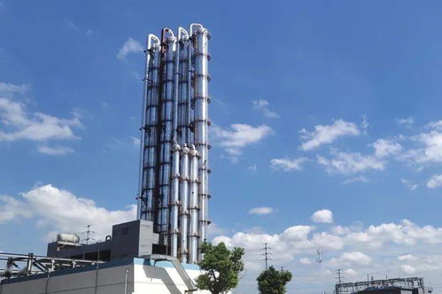 强化企业创新主体地位 壮大高新技术产业集群