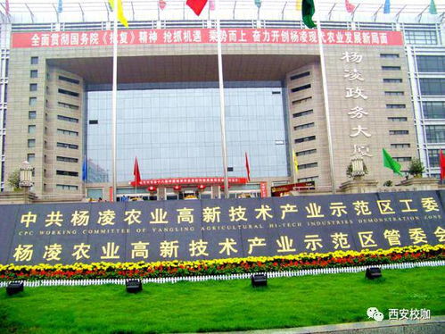 倒计时！第二十四届杨凌农高会抢先看 农科秀再添国际范儿，高新技术领航现代农业